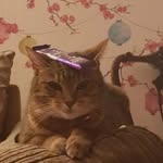 Thomas Thomason - @bonerfart42069 - Instagram
