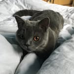 thomasthrush - @thomasthrush - Instagram