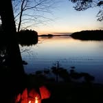 Thomas Thulin - @thule_12321 - Instagram