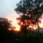 Clive Thomas Tickle - @clives.pictures - Instagram