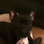 Riley Thomas Tickle - @rileyt_12 - Instagram
