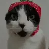 thomas tickles - @thomas.tickles - TikTok