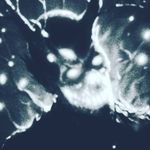 Thomas timmons - @3805.thomas - Instagram