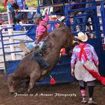 Thomas Timmons-Owens - @thomastimmonsowens - Instagram