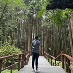 Thomas Ting - @thomas_ting_ - Instagram
