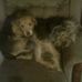 Thomas Tinney - Facebook