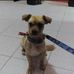 Tomas Tirado - Facebook