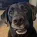 Thomas Torgerson - Facebook