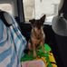 Thomas Toso - Facebook