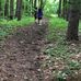 Thomas Burbine Memorial Forest trail - Facebook