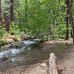 Thomas-Jones Creek Trail - Facebook