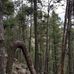Thomas Trail Head - Facebook