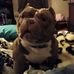 Tommy Trantham - Facebook