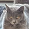 Thomas Treder - @thomas.treder - TikTok
