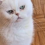Thomas Treder - @thomastreder66 - Instagram