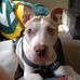 Thomas Trout - Facebook