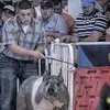 Thomas Trout - @troutshowpigs - TikTok