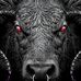 Thomas Wiltrout - Facebook