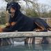 Thomas L Troxell - Facebook