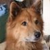 Thomas Troyer - Facebook