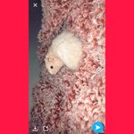Flynn Thomas Trull - @flynn_thomas_trull - Instagram