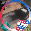 Thomas R Trull - @thomas.r.trull - TikTok