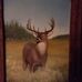 Tom Trull - Facebook