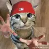 Thomas Sistrunk70 - @thomassistrunk0 - TikTok