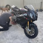 Thomas Tsouris - @tsouristhomas - Instagram
