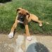 Thomas J Tuft - Facebook