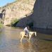 Tom Tuft - Facebook