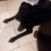 Thomas Tuggle - Facebook