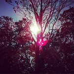 Tomas Turnquist - @tomasturnquist - Instagram