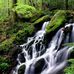 Thomas Umberger - Facebook