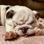 Thomas Underhill - @urock2000 - Instagram
