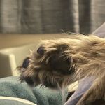 Thomas Underhill - @medaphysics - Instagram