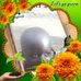 Thomas Ongaro - Facebook