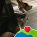 Tom Upshaw - Facebook