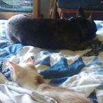 Thomas Utterback Sr. - @utterbacksr.thomas - Instagram