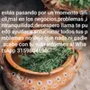 Dante Thomas valverde caipa - @dante.thomas.valv - TikTok