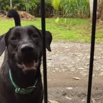Thomas Valverde Hidalgo - @thomval69 - Instagram