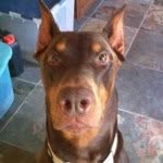Thomas Vasta - @clockwatcher_411 - Instagram