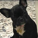 Thomas Velásquez - @thomas__velasquez__ - Instagram