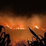 Thomas Fire Nurture Ventura - @thomasfirenurturevc - Instagram