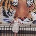 Nathalie Thomas-verney - Facebook