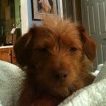 @thomasverney - Instagram