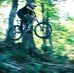 Tom Verney - Facebook