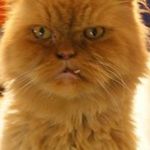 Thomas Vierstein - @thomasvierstein - Instagram