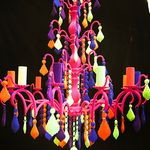 Thomas & Vines - @thomas_and_vines - Instagram