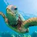 Thomas Vine Travel - Facebook